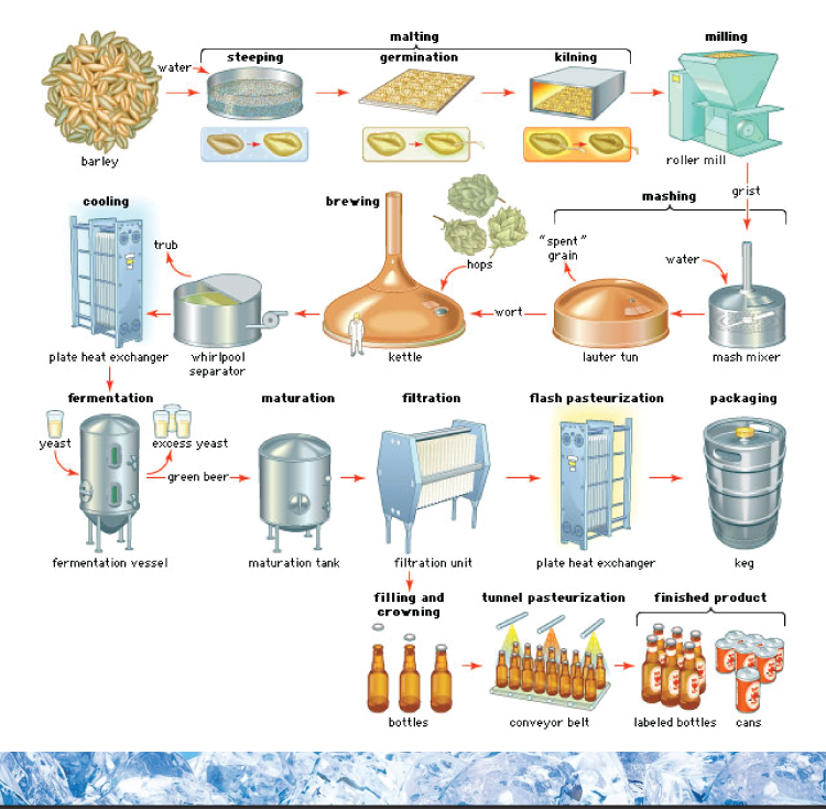 beverage-types2